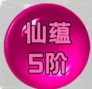 仙蕴5阶