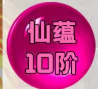 仙蕴10阶